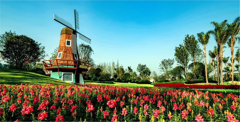 萬(wàn)科森林公園團(tuán)裝聚劃算