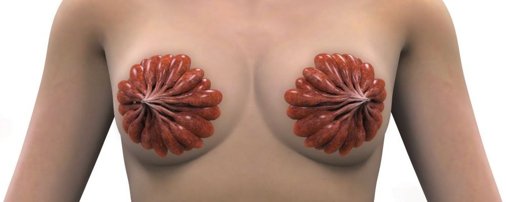 乳房保健多吃8類食物好 這些乳房知識你見得少