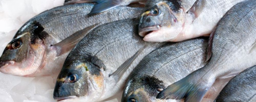 秋季怎么補(bǔ)腎好 推薦6款食物