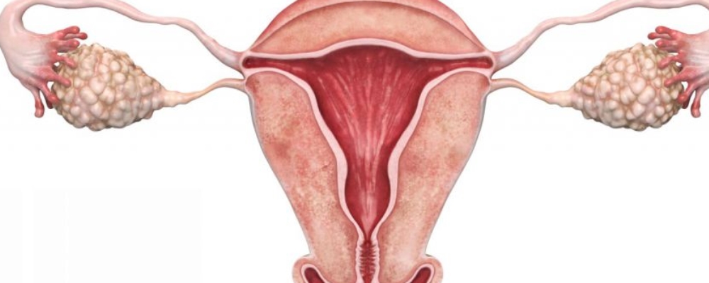 女性宮頸糜爛病因與護(hù)理方法是什么