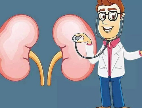 腎虛怎么調養(yǎng)比較好 補腎效果最好的四種食物分享