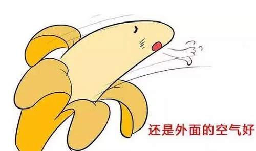 包皮是什么 男性包皮詳細(xì)介紹