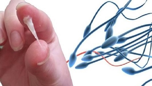 精子會在體內(nèi)存活多久 如何增加懷孕的幾率