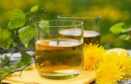 蒲公英泡水喝竟有6個害處是什么 蒲公英泡水喝好不好