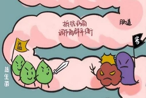 醫(yī)生為什么不建議吃益生菌 益生菌養(yǎng)胃還是傷胃