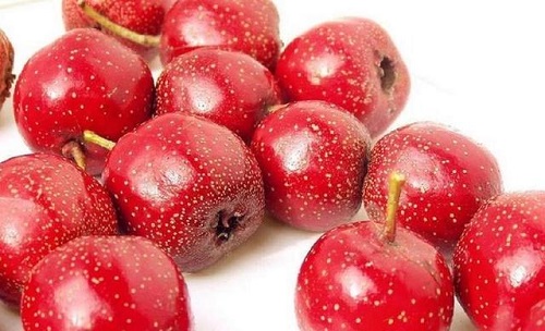 秋季養(yǎng)肝護(hù)肝的食物是什么 秋季可以養(yǎng)肝嗎