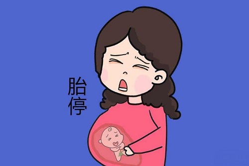 孕媽三個(gè)行為會引起胎停是什么 孕媽胎停會有哪些癥狀